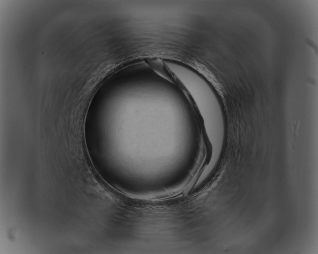 X0000092310577200710051240