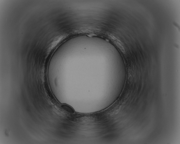 X0000092310578200710051240