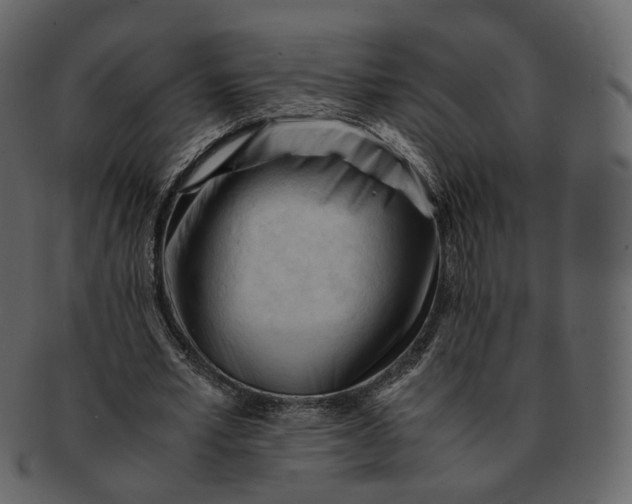 X0000092310581200710051240