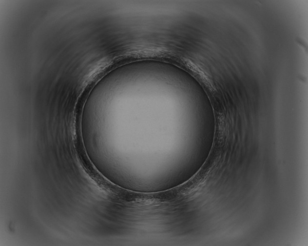 X0000092310582200710051240