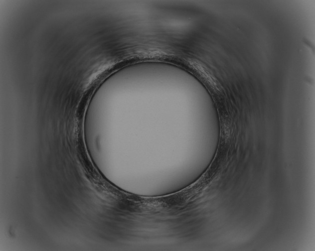 X0000092310583200710051240