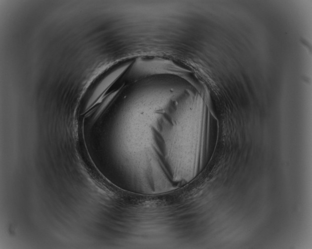 X0000092310584200710051240