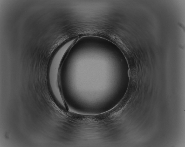 X0000092310585200710051240