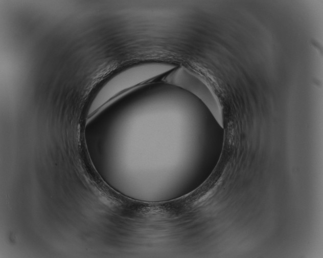 X0000092310589200710051240