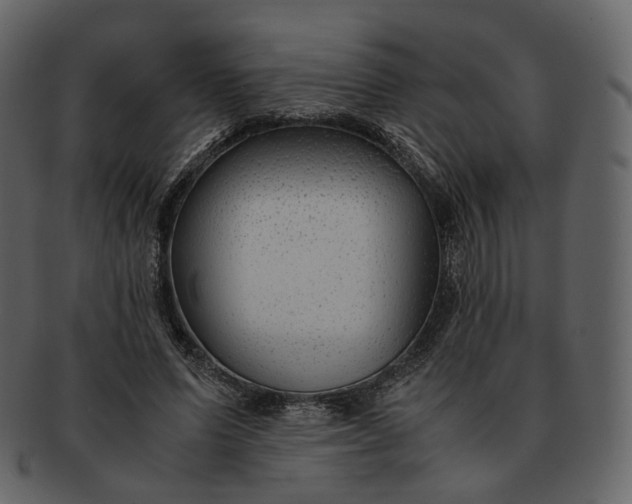 X0000092310591200710051240