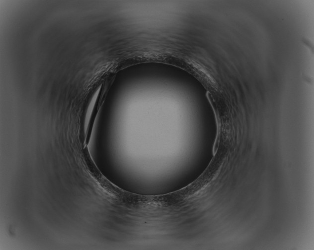 X0000092310593200710051240