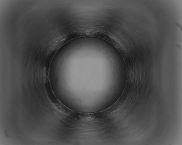X0000092310594200710051240