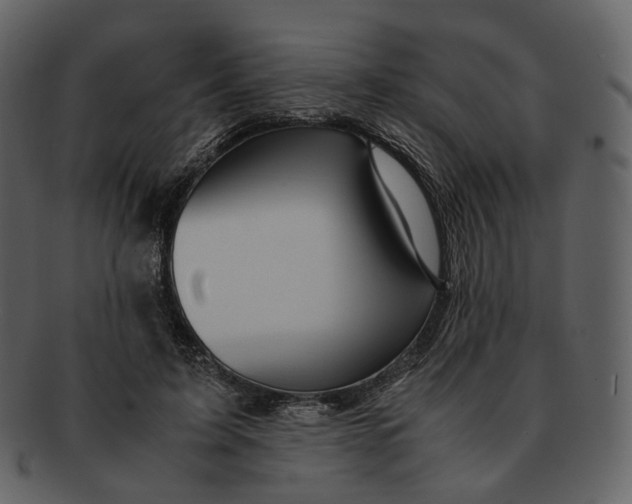 X0000092310595200710051240