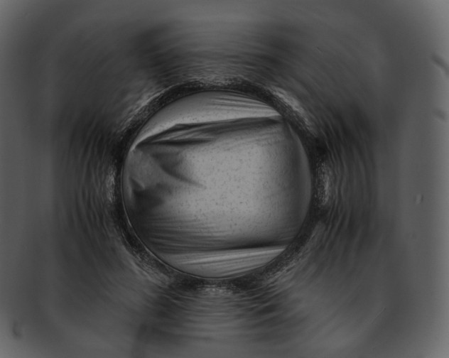 X0000092310596200710051240