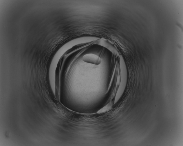 X0000092310597200710051240
