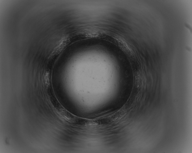 X0000092310598200710051240