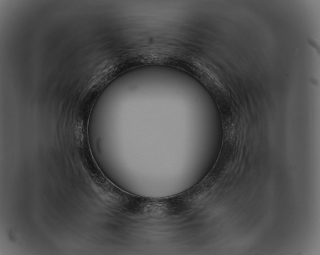 X0000092310599200710051240