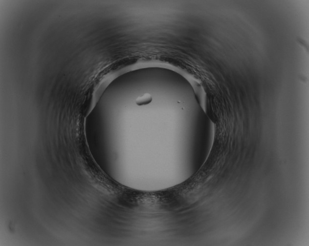 X0000092310600200710051240