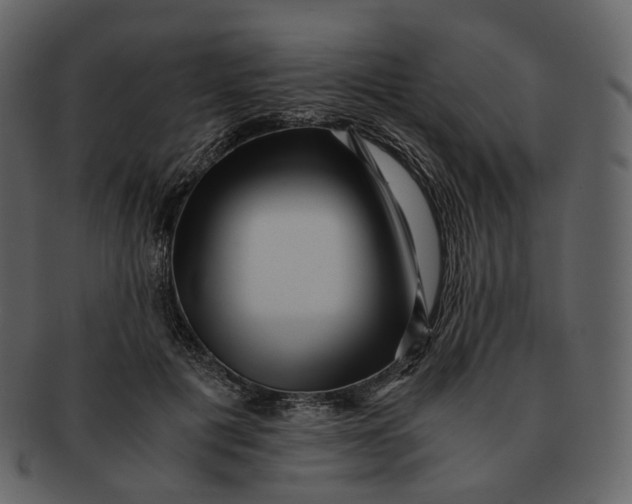 X0000092310601200710051240