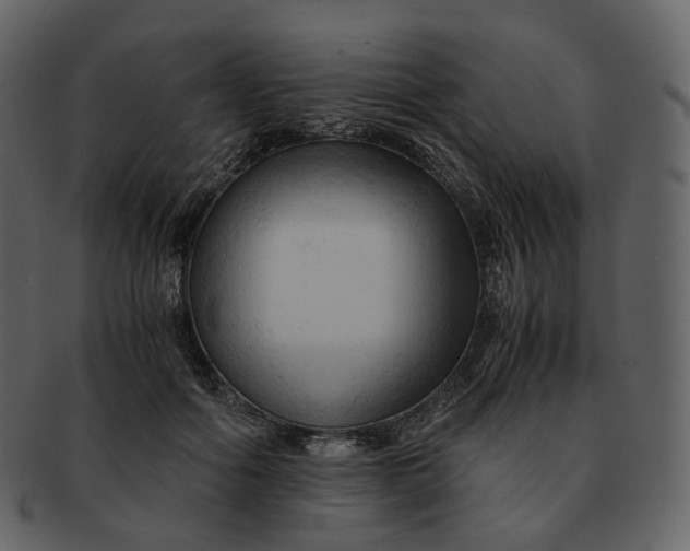 X0000092310602200710051240