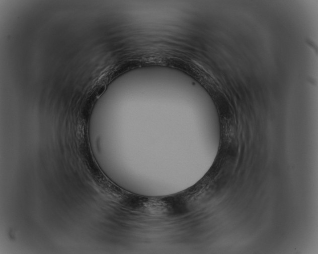 X0000092310603200710051240