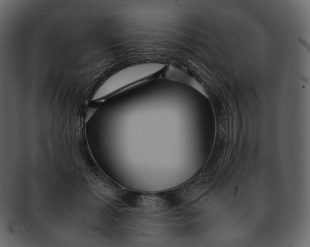 X0000092310605200710051240