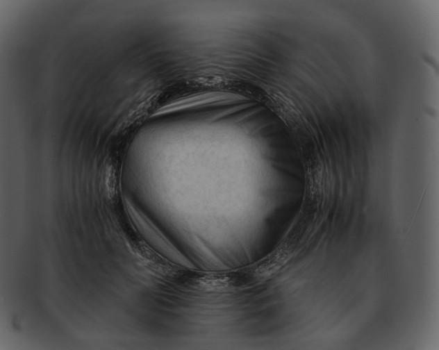 X0000092310606200710051240