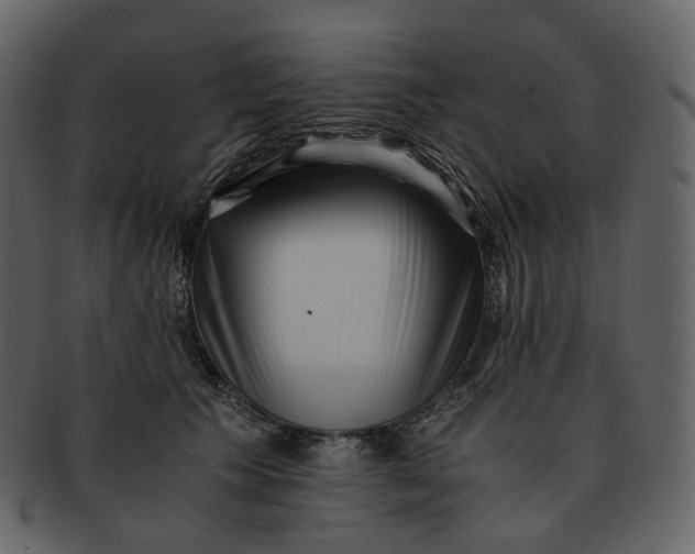 X0000092310609200710051240