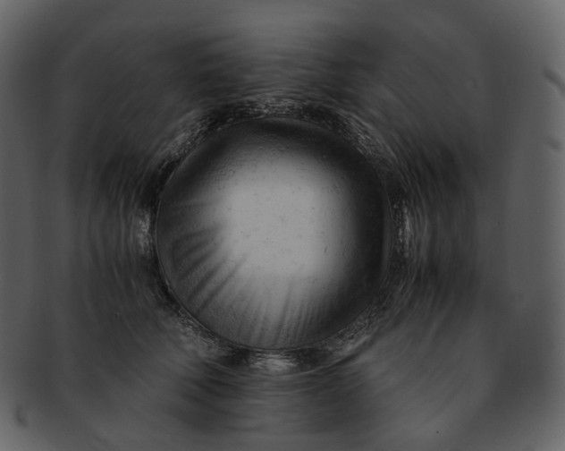X0000092310610200710051240