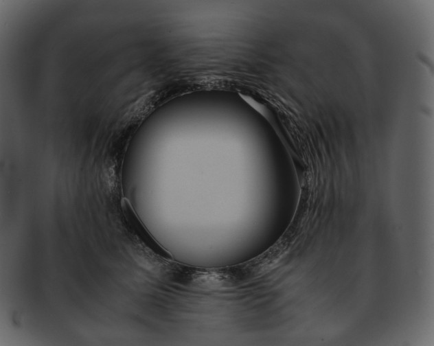 X0000092310611200710051240