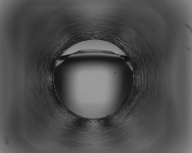 X0000092310613200710051239