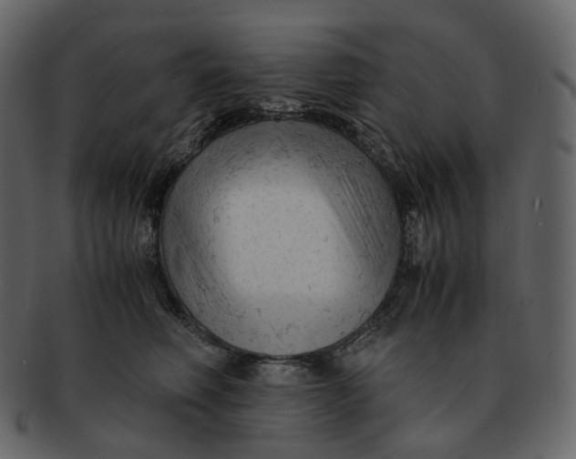 X0000092310614200710051239