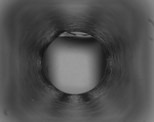 X0000092310615200710051239