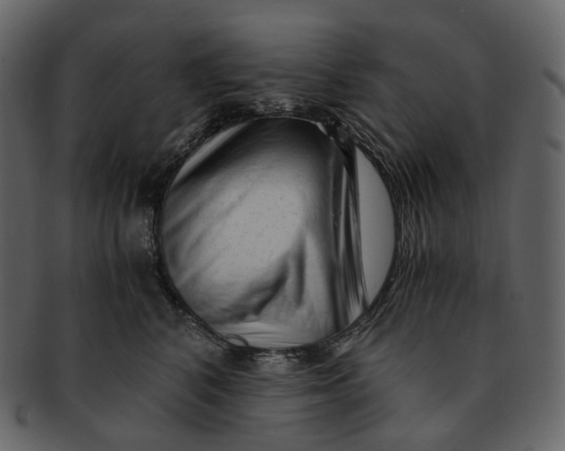X0000092310616200710051239