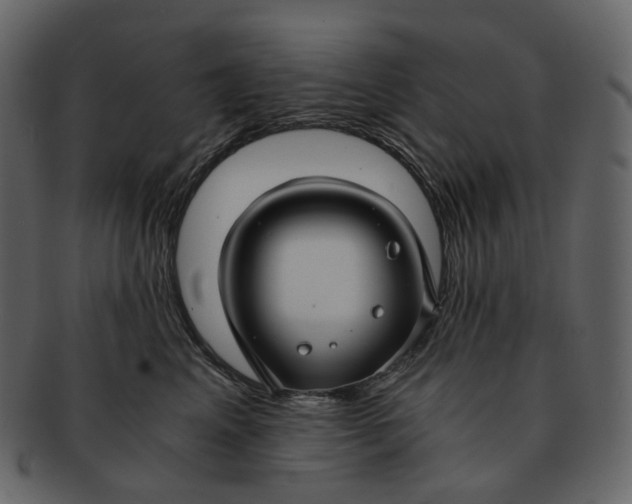 X0000092310617200710051239