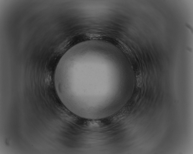 X0000092310618200710051239