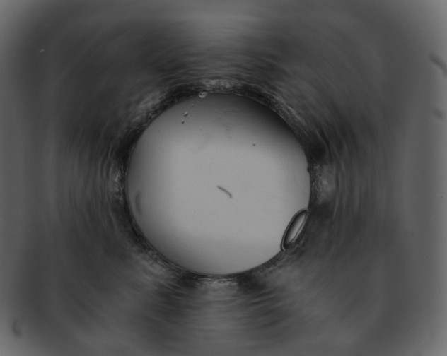 X0000092310619200710051239