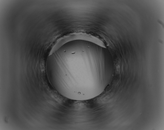 X0000092310620200710051239