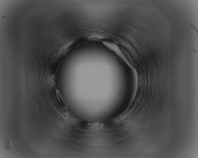 X0000092310621200710051239