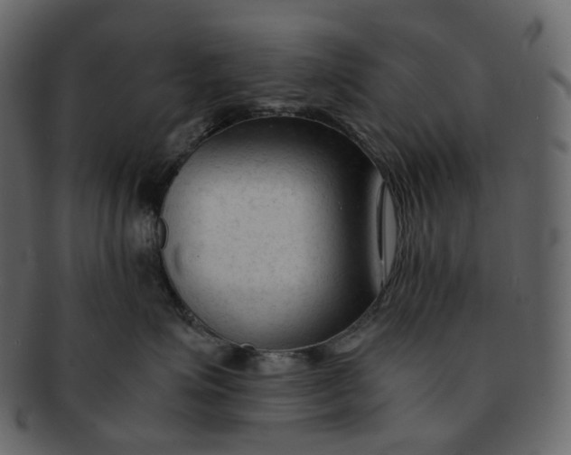 X0000092310623200710051239