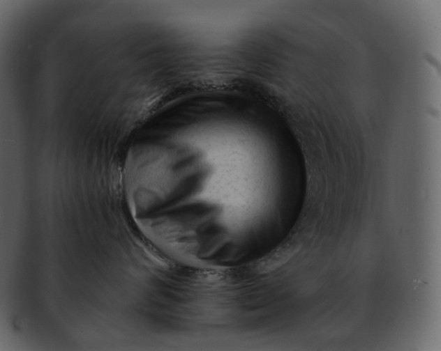 X0000092310624200710051239