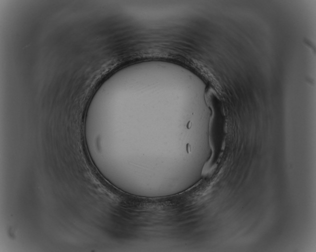 X0000092310625200710051239