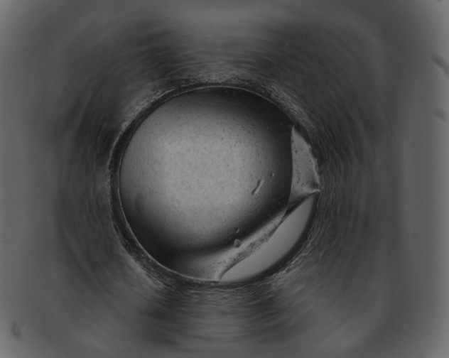 X0000092310626200710051239