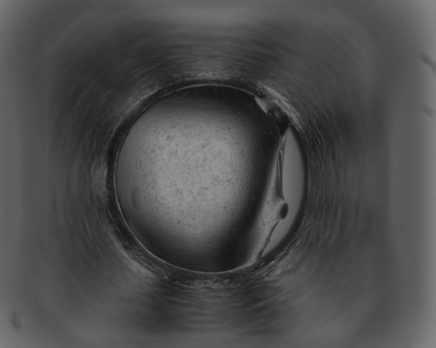 X0000092310627200710051239