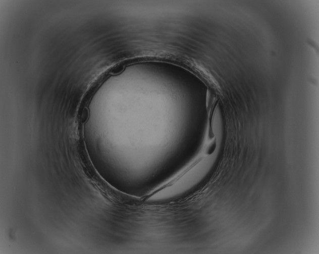 X0000092310628200710051239