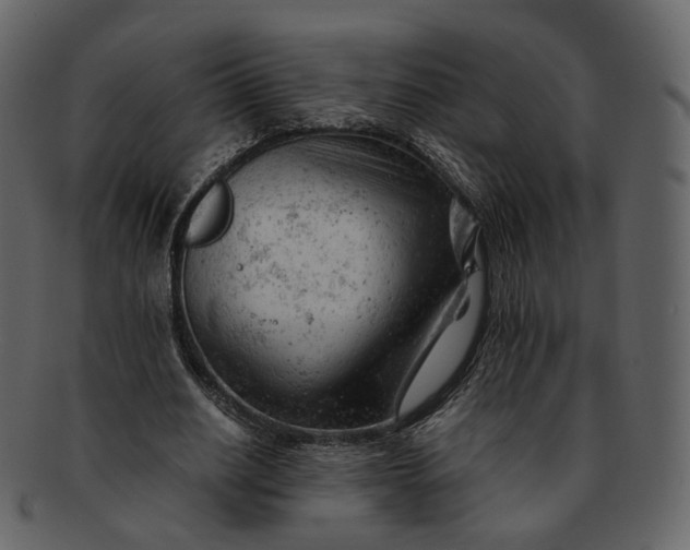 X0000092310630200710051239