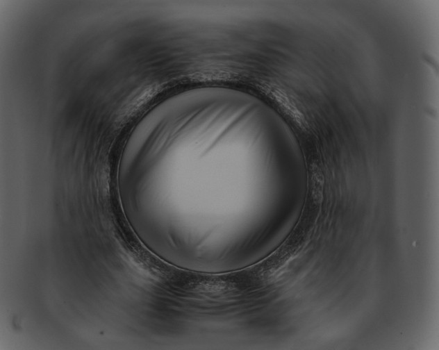 X0000092310631200710051239