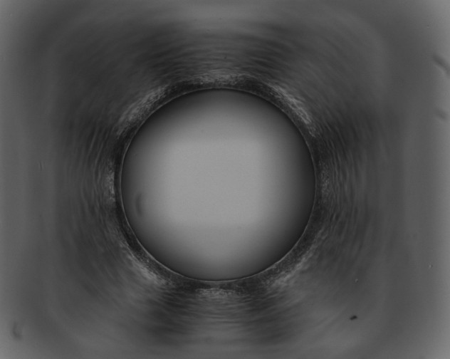 X0000092310633200710051239
