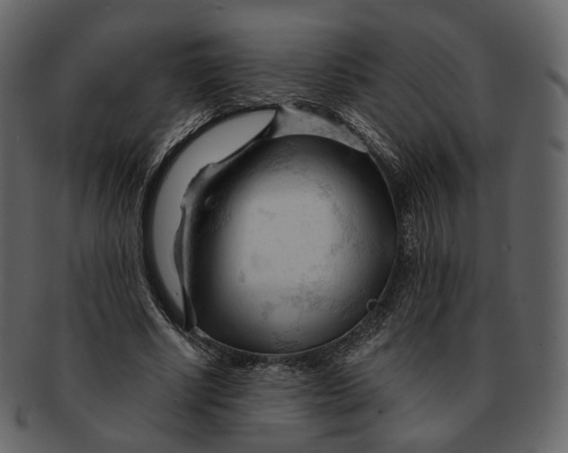 X0000092310634200710051239