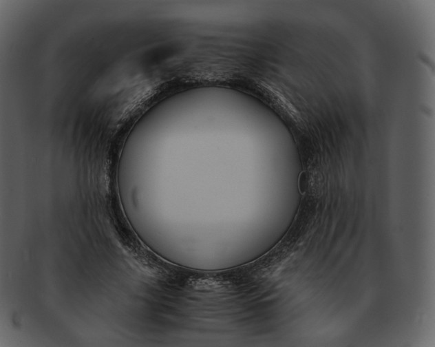 X0000092310635200710051239