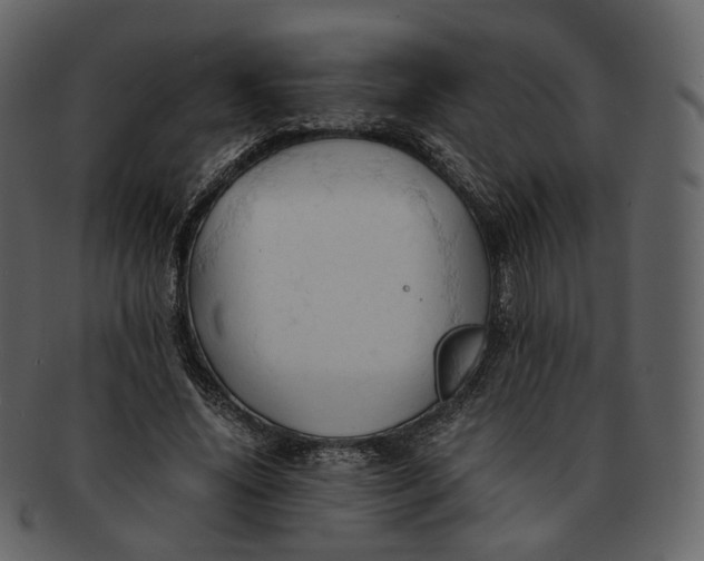 X0000092310636200710051239