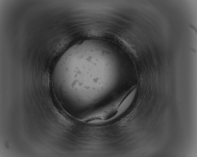 X0000092310637200710051239