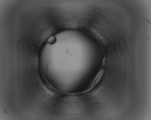 X0000092310638200710051239