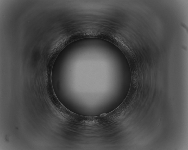 X0000092310639200710051239