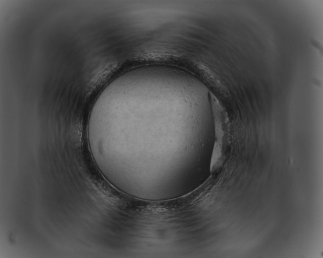 X0000092310640200710051239